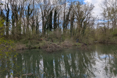 PXL_20250406_074304867