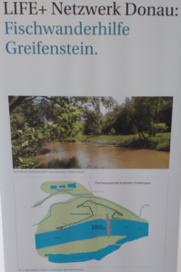 fischwanderhilfe